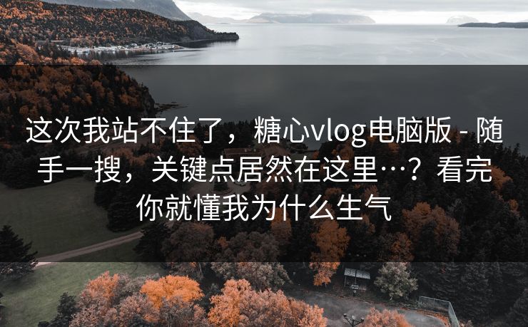 这次我站不住了，糖心vlog电脑版 - 随手一搜，关键点居然在这里…？看完你就懂我为什么生气